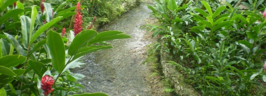 Dunn’s River Falls & Konoko Falls, Taino Museum & River  Gardens Excursion