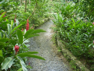 Coyaba River Gardens | Excursions In Oho Rios